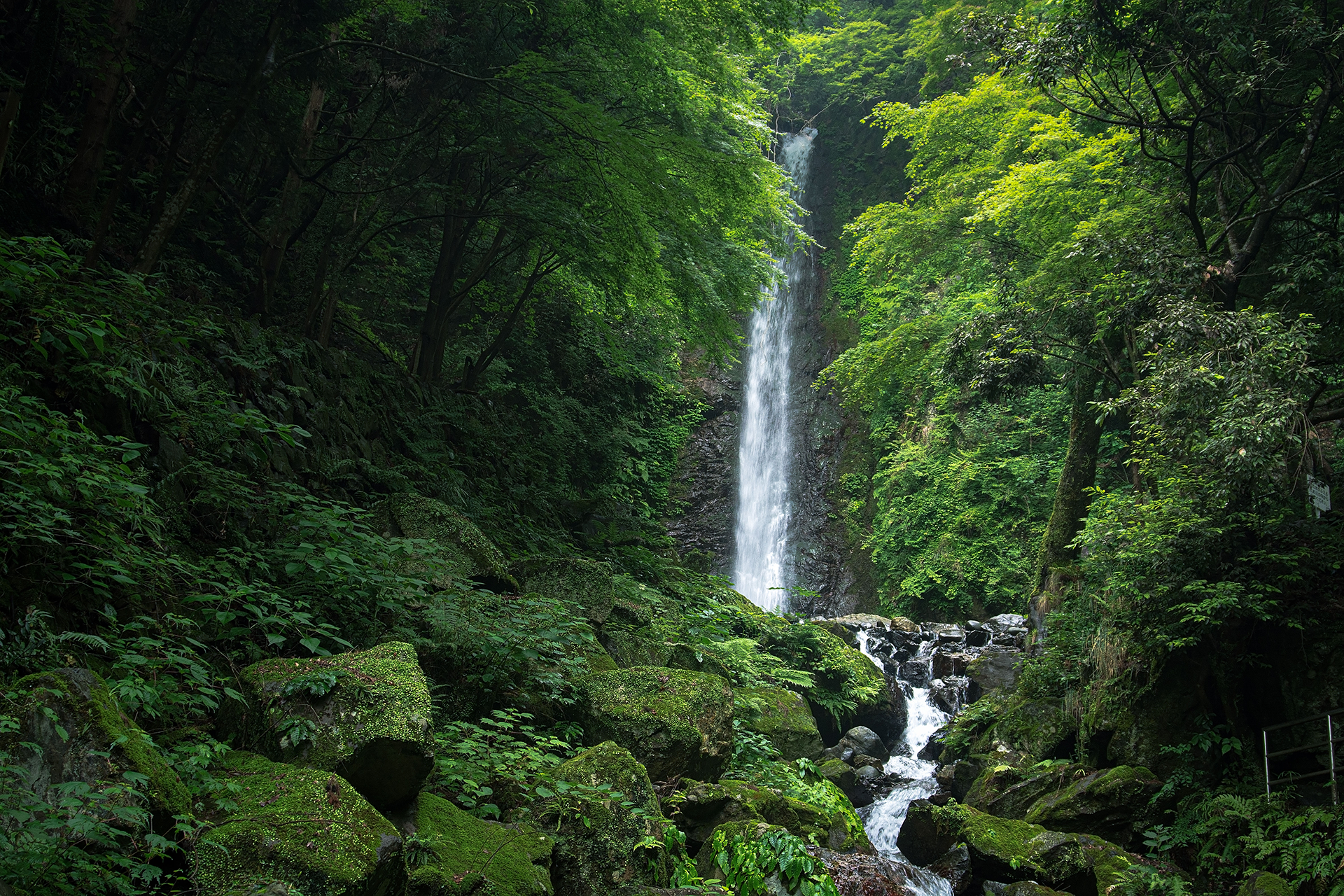 養老の滝
